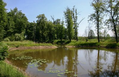 Schloss kaufen Radoszewnica, Schlesien:  Teich/See