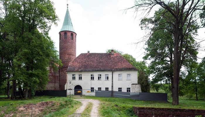 Burg Karłowice 2