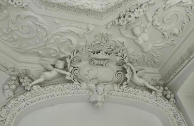 Castello in vendita powiat gorzowski, gmina Witnica, Dąbroszyn, Pałac w Dąbroszynie, Lubusz,  © Stowarzyszenie Templum