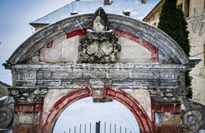 Schloss kaufen Žitenice, Zámek Žitenice, Ústecký kraj, Foto 19/31