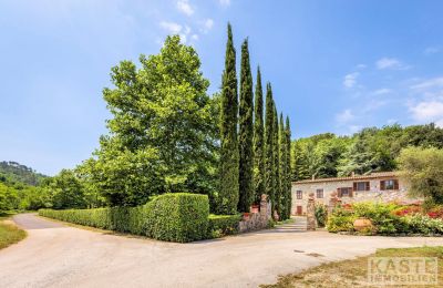 Landhaus kaufen Lucca, Toskana:  Zufahrt