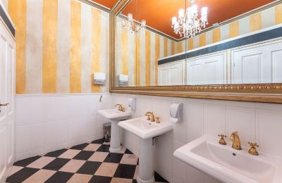 Villa padronale kaufen Lisewo, Dwór w Lisewie, Pomerania, Foto 13/20