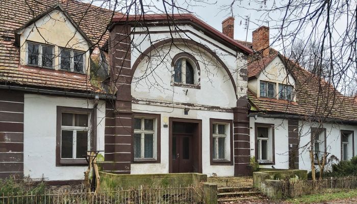 Herrenhaus/Gutshaus Leszno, Großpolen