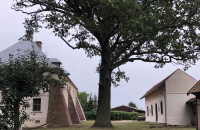 Herrenhaus/Gutshaus kaufen Broniszów, Lebus:  