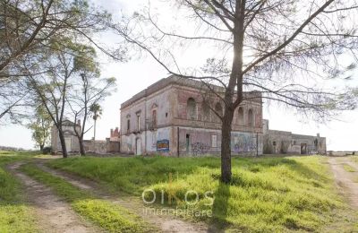 Herrenhaus/Gutshaus kaufen Manduria, Apulien:  