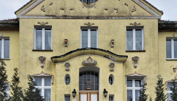 Herrenhaus/Gutshaus Drawno 5