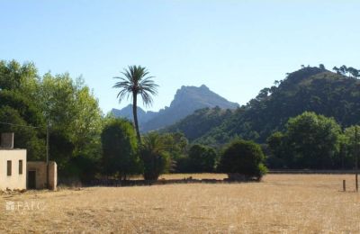 Herrenhaus/Gutshaus kaufen Mallorca, Serra de Tramuntana, Cala Sant Vicenç, Balearische Inseln:  