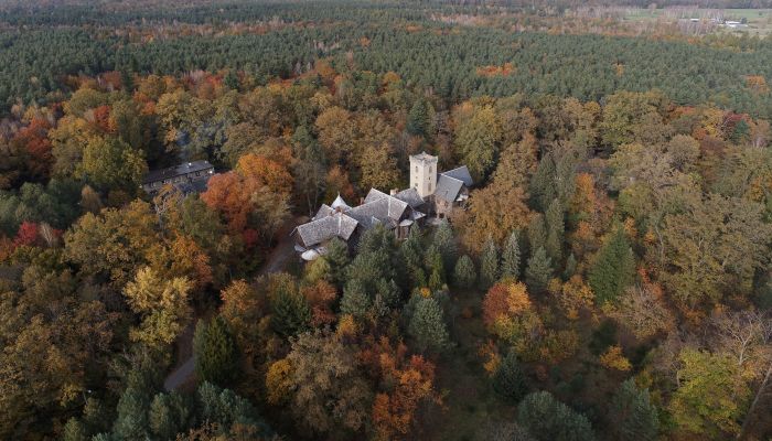 Schloss kaufen Sośnie, Großpolen,  Polen