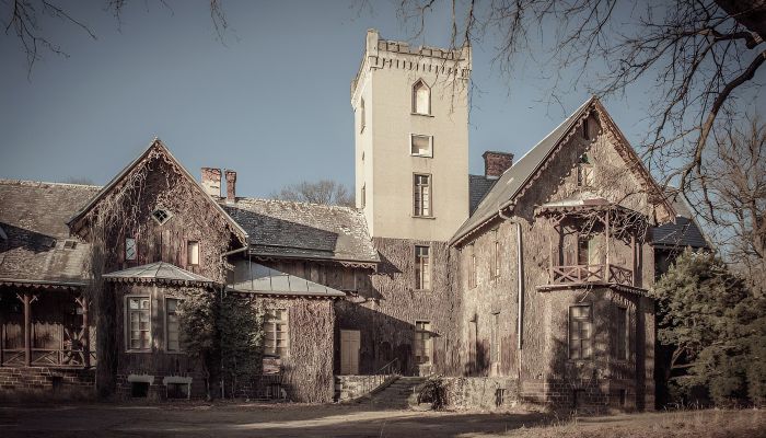 Castello in vendita Sośnie, Grande Polonia,  Polonia