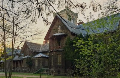 Schloss erwerben Sośnie, Jana Sztolcmana 1, Großpolen, Foto 7/8