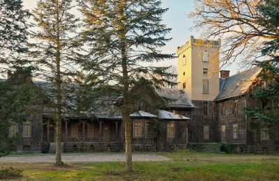 Schloss erwerben Sośnie, Jana Sztolcmana 1, Großpolen, Foto 8/8