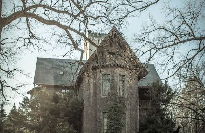 Schloss à vendre Sośnie, Jana Sztolcmana 1, Großpolen, Image 4/7