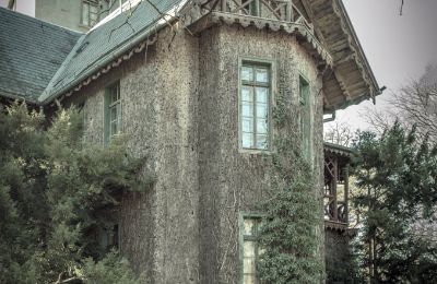 Schloss à vendre Sośnie, Jana Sztolcmana 1, Großpolen, Image 6/7