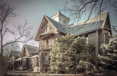 Schloss à vendre Sośnie, Jana Sztolcmana 1, Großpolen, Pałac Moja Wola