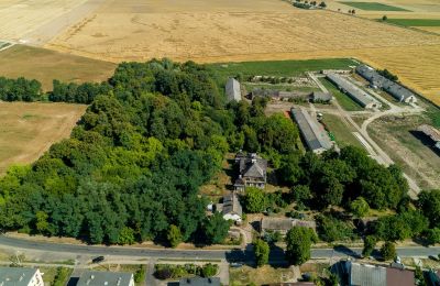 Villa padronale in vendita Rogoźno, Dwór w Studzieńcu 28, Grande Polonia, Posizione dell'immobile