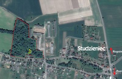 Villa padronale in vendita Rogoźno, Dwór w Studzieńcu 28, Grande Polonia, Proprietà