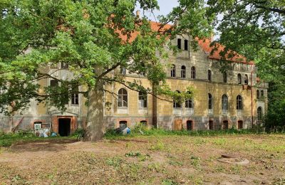 Wir kaufen ein altes Schloss, Rückseite