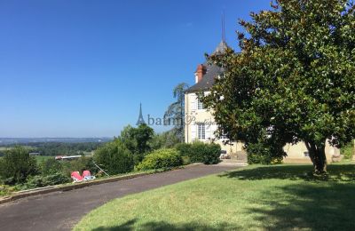 Manoir à vendre Pau, Nouvelle-Aquitaine, Image 18/23