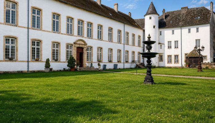 Schloss erwerben Roussy-le-Bourg, Grand Est