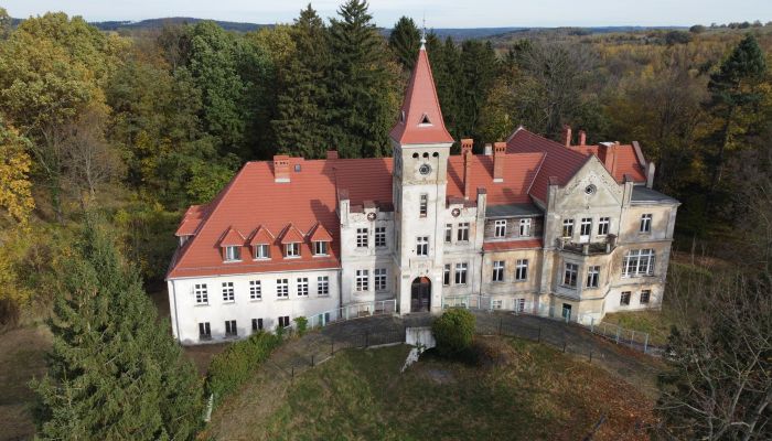 Castello in vendita Grabiszyce Średnie, Bassa Slesia,  Polonia