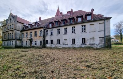 Castello in vendita Grabiszyce Średnie, Bassa Slesia, Vista posteriore