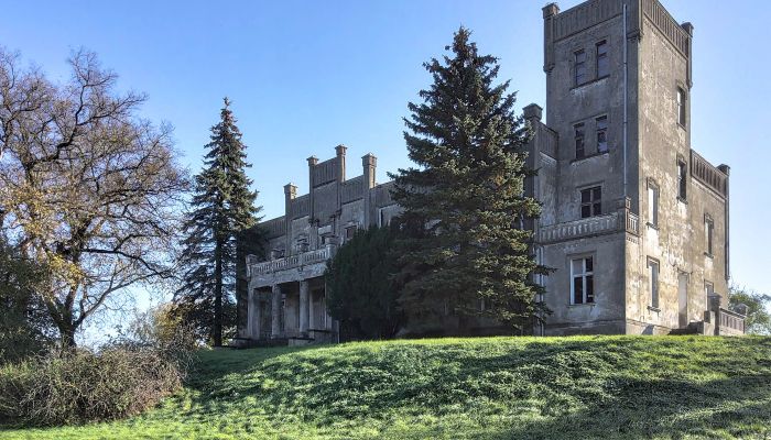 Castello in vendita Górki Dąbskie, Kujavie-Pomerania,  Polonia