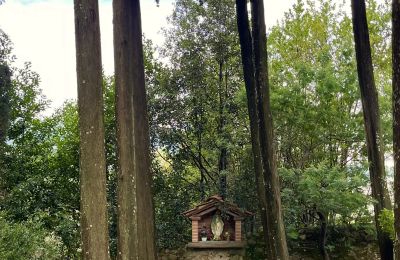 Monastero in vendita Pescia, Toscana, Foto 30/47
