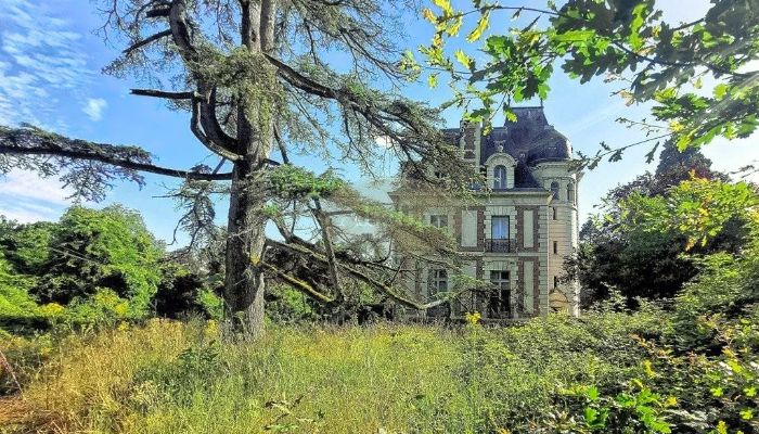 Château im Loire-Tal mit vielen Nutzungsmöglichkeiten