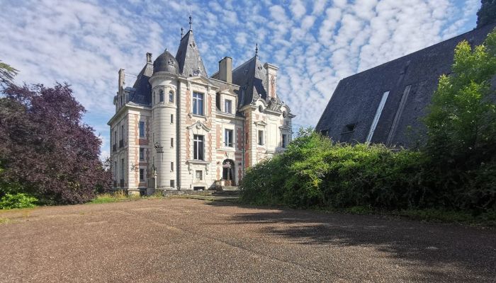 Castello in vendita Le Mans, Paesi della Loira,  Francia