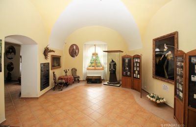 Schloss kaufen Tschechische Republik, Foto 12/14