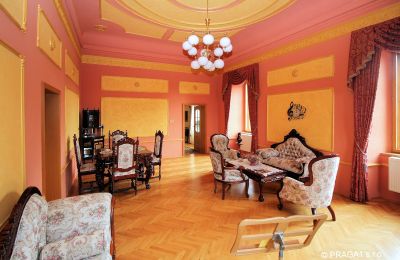 Schloss kaufen Tschechische Republik, Salon