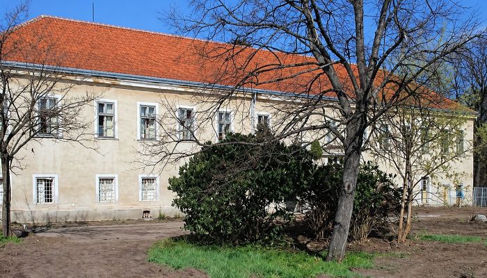 Herrenhaus/Gutshaus erwerben Rumanová, Region Nitra