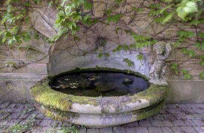 Historische Villa kaufen Vernaison, Auvergne-Rhône-Alpes, Foto 17/29