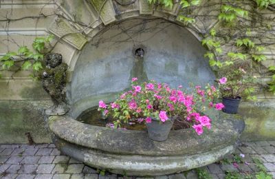 Historische Villa kaufen Vernaison, Auvergne-Rhône-Alpes, Details