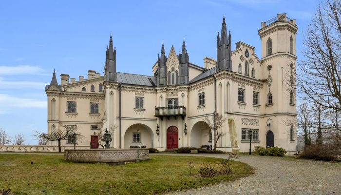 Castello in vendita Patrykozy, Masovia,  Polonia