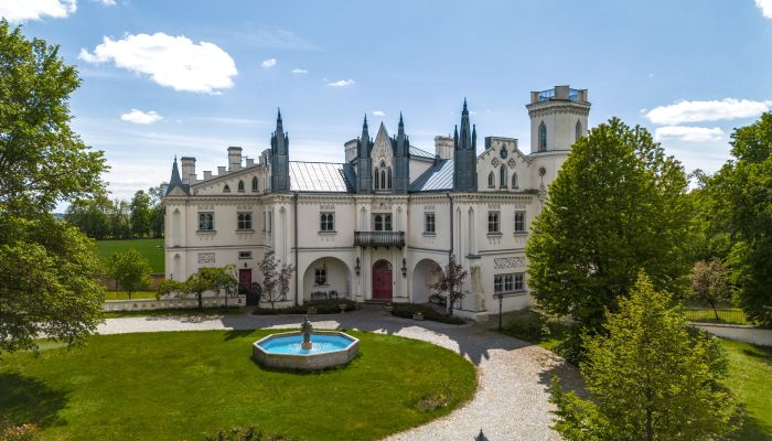 Château à vendre Patrykozy, Mazovie,  Pologne
