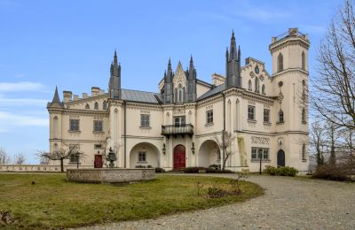 Castello in vendita Patrykozy, Masovia, Foto 1/13