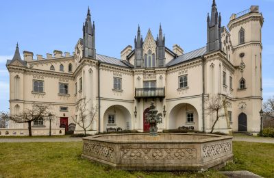 Immobili storici, Il maniero neogotico di Patrykozy - un monumento unico in Mazovia