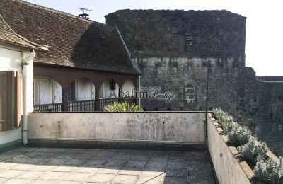 Villa storica in vendita Sauveterre-de-Béarn, Nuova Aquitania, Foto 17/20