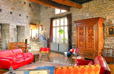 Villa storica in vendita Sauveterre-de-Béarn, Nuova Aquitania, Foto 8/20