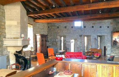 Villa storica in vendita Sauveterre-de-Béarn, Nuova Aquitania, Foto 5/20