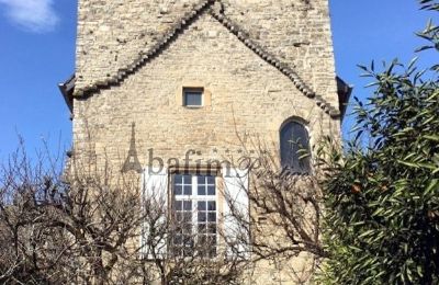 Villa storica in vendita Sauveterre-de-Béarn, Nuova Aquitania, Foto 3/20