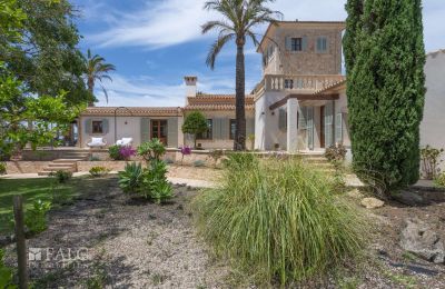 Maison de campagne à vendre Cas Concos des Cavaller, Îles Baléares, Überdachte Terrasse