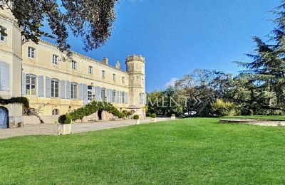 Herrenhaus/Gutshaus kaufen Saint-Sulpice-la-Pointe, Okzitanien, Rückseite