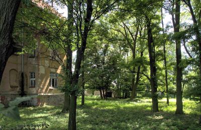 Villa padronale kaufen Udanin, Główna, Bassa Slesia, Parco