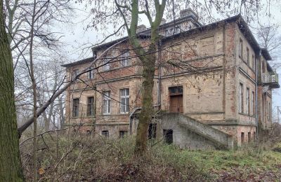 Herrenhaus/Gutshaus kaufen Parsko, Pałac w Parsku, Großpolen, Foto 14/16