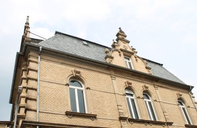 Historische Villa kaufen Neustadt an der Weinstraße, Rheinland-Pfalz, RunBogenfenster mit auffälligen Verzierungen 