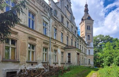 Castello kaufen Jędrzychów, Pałac w Jędrzychowie, Bassa Slesia,, Vista frontale