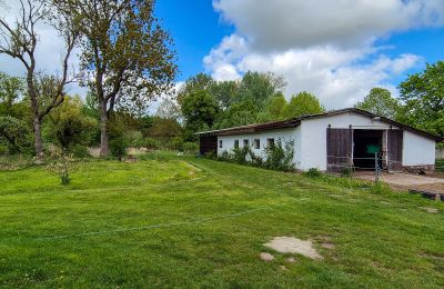 Château médiéval à vendre 18513 Glewitz, Mecklembourg-Poméranie-Occidentale, Stall (4)