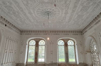 Castello in vendita Osiek, Pałac w Osieku, Piccola Polonia, Foto 9/38